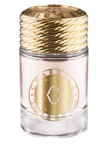 Infinite Celtic For Women - سلتیک بی نهایت برای زنان