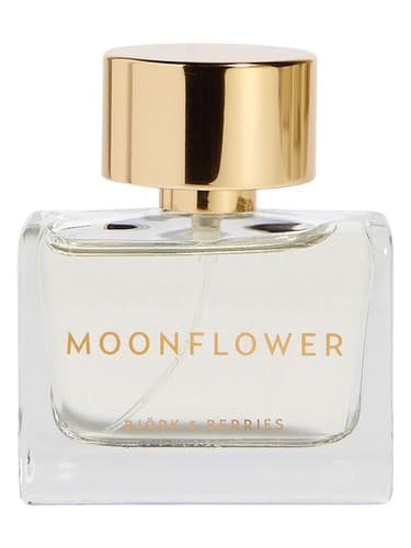 Moonflower - گل مون
