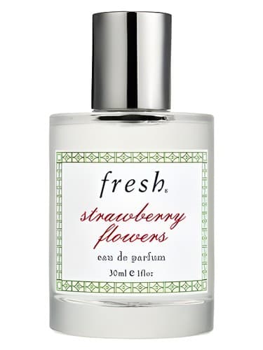 Strawberry Flowers - گل استرابری