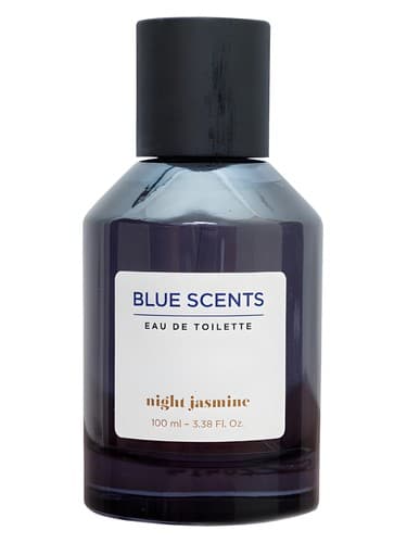 Night Jasmine - یاس شبانه