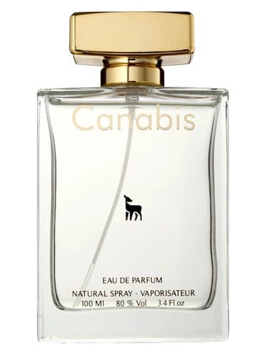Canabis - حشیش