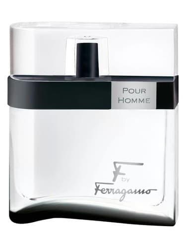 F by Ferragamo Black - F توسط فراگامو بلک