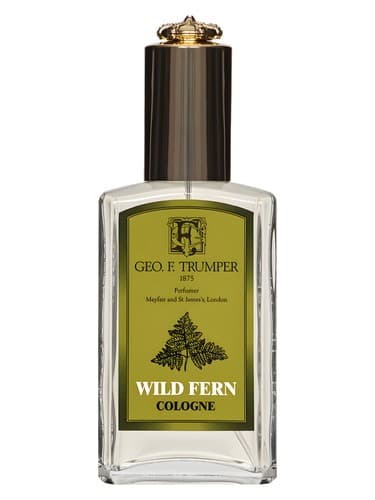 Wild Fern Cologne - کلن سرخس وایلد