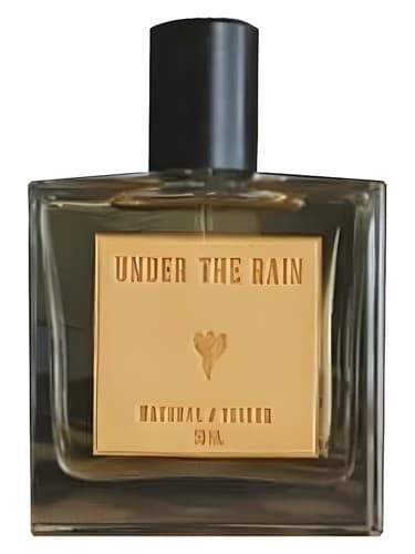 Under The Rain - زیر باران