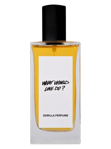 What Would Love Do - چه کاری را دوست دارم انجام دهد