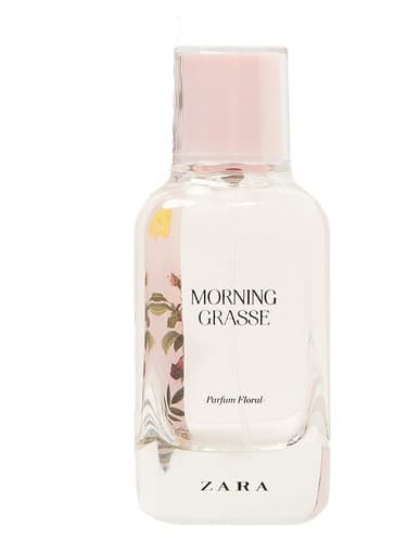 Morning Grasse - سبزه صبحگاهی