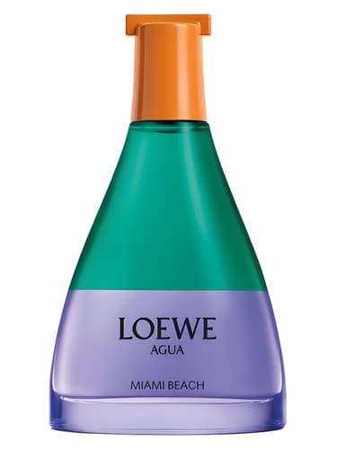 Agua Miami Beach - ساحل آگوا میامی