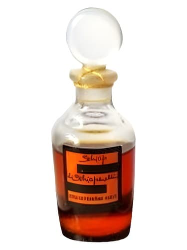 Schiap - شیاپ