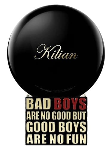 Bad Boys Are No Good But Good Boys Are No Fun - پسرهای بد خوب نیستند اما پسرهای خوب سرگرم کننده نیستند
