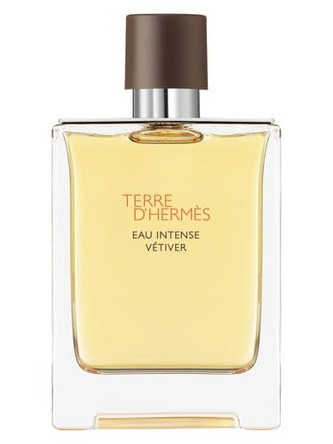 Terre D'Hermes Eau Intense Vetiver 