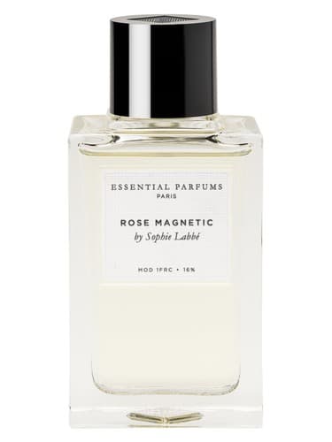 Rose Magnetic - رز مغناطیسی