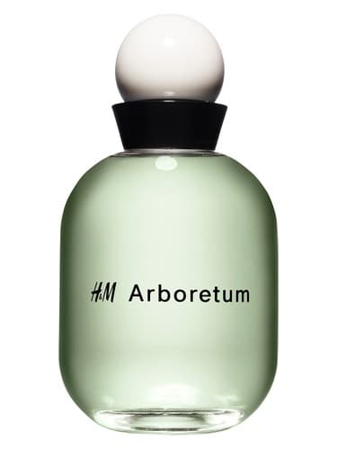 H&M Arboretum