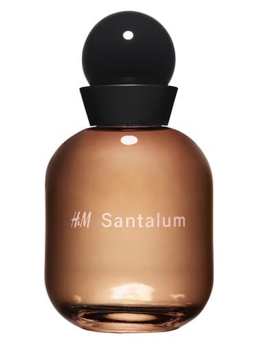 H&M Santalum 