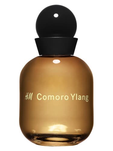 H&M Comoro Ylang - H&M کومورو یلانگ