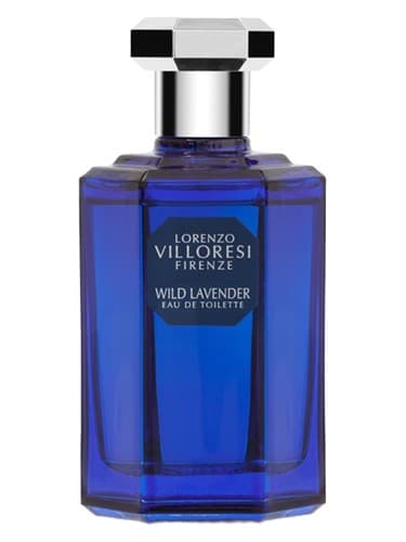 Wild Lavender