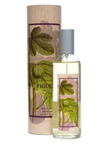Figue Fleur - فیگ فلور