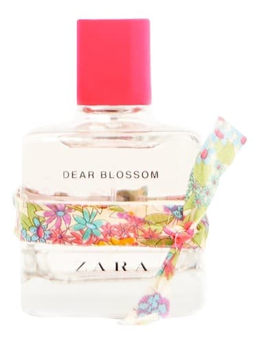 Dear Blossom - شکوفه عزیز
