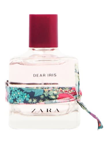 Dear Iris - آیریس عزیز