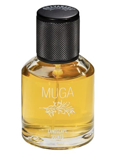 Muga - موگا