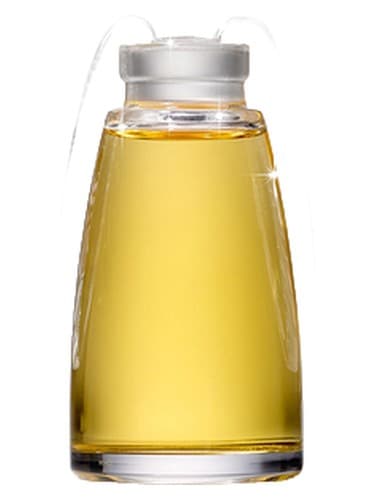 Amorem Rose - آمورم رز