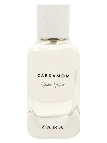 Cardamom - Gender Neutral - هل - جنسیت خنثی