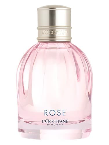 Rose - رز