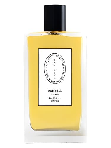 Daffodil - نرگس