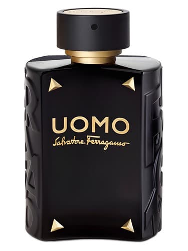 Uomo Salvatore Ferragamo Limited Edition 