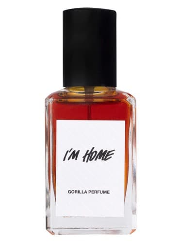 I'm Home - من خانه هستم