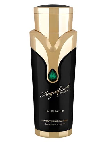 Magnificent Pour Femme - با شکوه Pour Femme