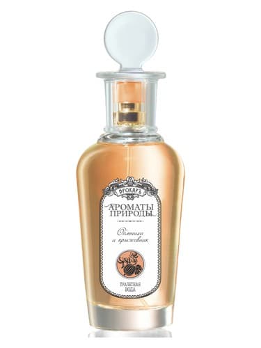 Облепиха и крыжовник - Sea buckthorn and Gooseberry
