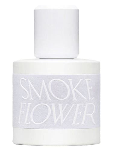 Smoke Flower - گل دودی