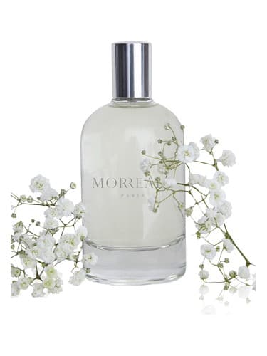 Morreale Pour Homme 