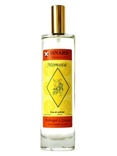 Mimosa - میموزا