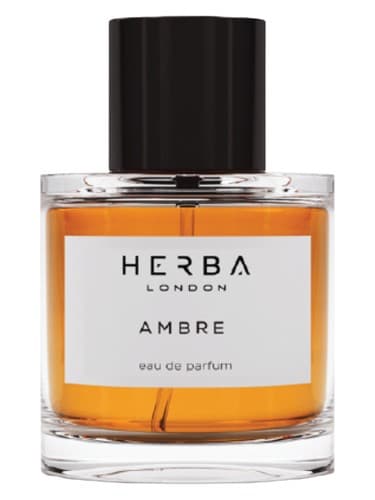 Ambre - آمبره