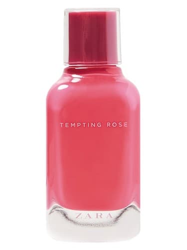 Tempting Rose - رز وسوسه انگیز