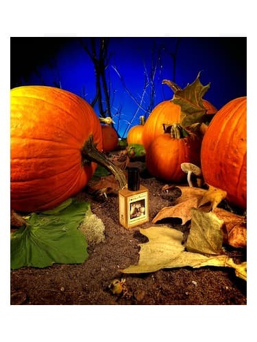 Gunnerson's Pumpkin Patch - تکه کدو تنبل Gunnerson