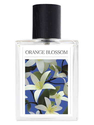 Orange Blossom