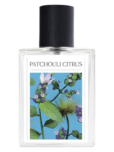 Patchouli Citrus - مرکبات پاتچولی