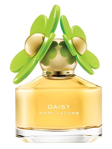 Daisy Bloom - دیزی بلوم