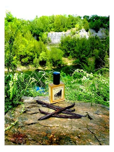 Mountain Vanilla - وانیلا کوهی
