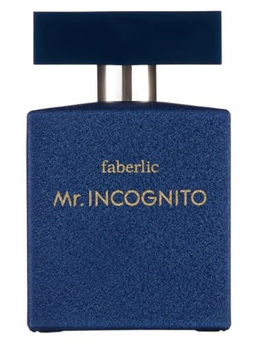 Mr. Incognito - آقای ناشناس