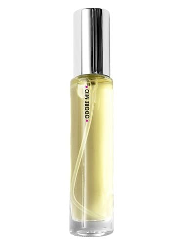 Olive Blossom - شکوفه زیتون
