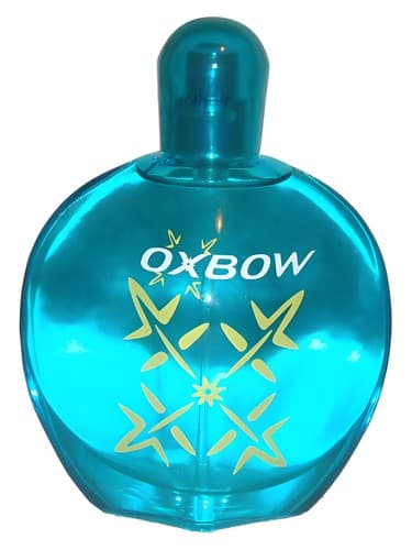 Hawaiian Fantasy for Men