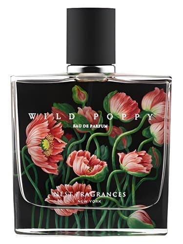 Wild Poppy - خشخاش وایلد
