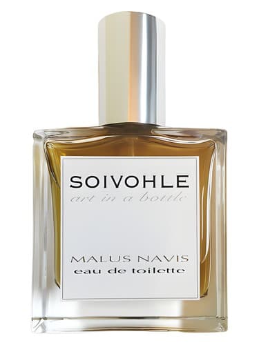 Malus Navis