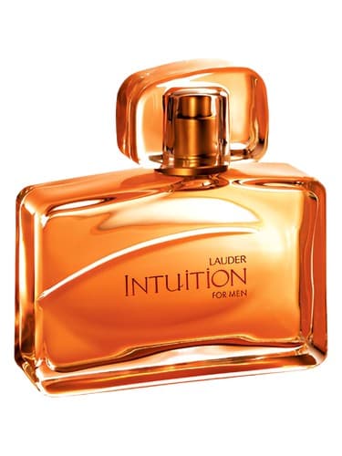 Intuition for Men - شهود برای مردان