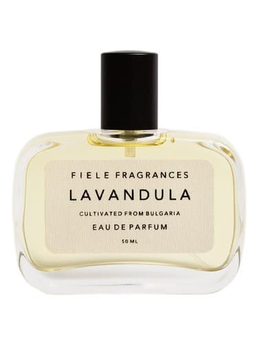 Lavandula