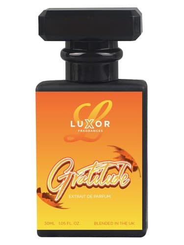 Gratitude - سپاسگزاری