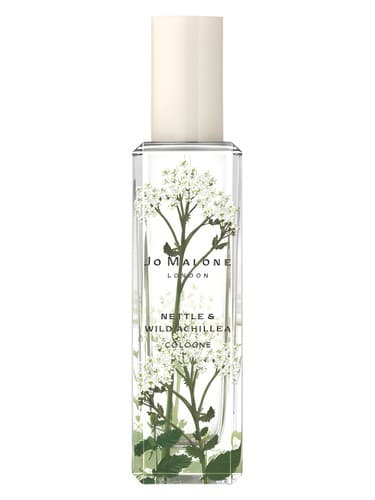 Nettle & Wild Achillea - گزنه و بومادران وایلد